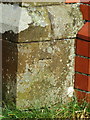 Bench mark on Bethania Chapel, Llandegla