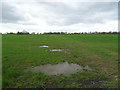 Grassland off the A528