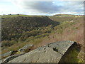 Colden Clough and Lumb Bank