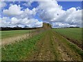 Farmland, Ludgershall