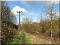 Footpath through Farsley Beck Bottom