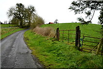 H6158 : Tullylinton Road, Tullylinton by Kenneth  Allen