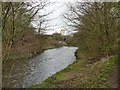 The River Tame 