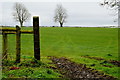 H6058 : Posts at the end of a field, Tullylinton by Kenneth  Allen