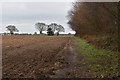 Footpath along the western edge of Rence Park