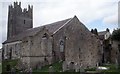 S2034 : Holy Trinity Church - Fethard, County Tipperary by Martin Richard Phelan