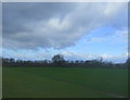 Fields near Lyons Wood