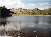 NY2904 : Blea Tarn View by Gordon Griffiths