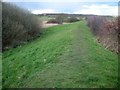 Flag Creek: Sea defence embankment