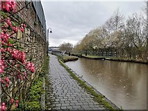 SJ9698 : Lock 5W Huddersfield Narrow Canal by Chris Morgan
