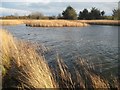 St Osyth: Mill Dam Lake