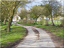 SP2711 : The road to Manor Farm, Widford by Ruth Sharville
