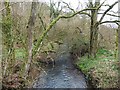 River Yeo at Wadham Bridge