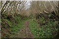 Footpath to Marke Valley Mine