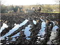 Waterlogged field next to Burtonhole Lane