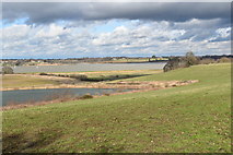 TM2336 : View towards the River Orwell from Wade's Lane by Simon Mortimer