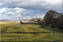 TM2336 : View towards the River Orwell from Wade's Lane by Simon Mortimer