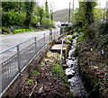 Stream below Dulais Fach Road, Tonna