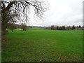 Grazing off Compstall Road (B6104)