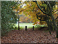 Path out of woodland to Brighton Road