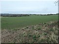 Farmland above Spennithorne Beck [1]