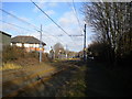 Midland Metro tramway approaching New Swan Lane, West Bromwich