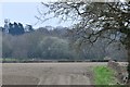 Ayot St. Peter: Ploughed field next to Homerswood Lane