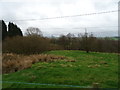 Rough grazing and woodland near Cloughend Farm