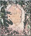 Old Milestone by Enmore Road, Stone Hall Farm