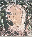 ST2535 : Old Milestone by Enmore Road, Stone Hall Farm by JR Dowding