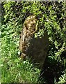 Old Boundary Marker east of Hodder House, Bashall Eaves