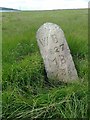 SD9718 : Old Boundary Marker on Byron Edge, Littleborough parish by Milestone Society