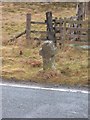 NY7943 : Old Wayside Cross by Slate Hill, Alston Moor by Milestone Society