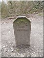 Old Boundary Marker by Croham Hurst