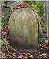 Old Boundary Marker by Scout Road, Bolton Parish