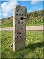 Old Guide Stone near Tregeague Farm, St Keverne parish