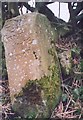 Old Guide Stone near Gledstone Hall, Martons Both parish