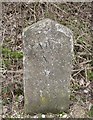 Old Milestone by the A36, Warminster Road, Wylye