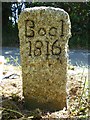 SX1762 : Old Boundary Marker in Broadoak parish by Milestone Society