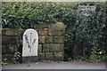 Old Boundary Marker by the A659, Arthington Lane, Pool parish