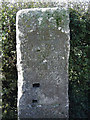 Old Boundary Marker near Shirbutt Lane, Upper Poppleton