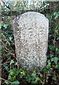 Old Boundary Marker by the A385, Ashburton Road, Totnes