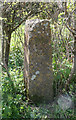 Old Boundary Marker, Tintinhull Road, Chilthorne Domer