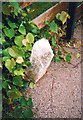 Old Boundary Marker on Westwood Park