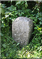 Boundary Marker by the A386, near Higher Beardon Farm