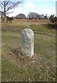 Old Boundary Marker