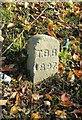 Old Boundary Marker by the A385, Ashburton Road, Totnes