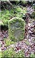 Old Bridge Marker near Ward Bridge, Sampford Spiney