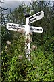 Old Direction Sign - Signpost by Two Mile Ash Road, Itchingfield