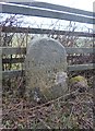 Old Boundary Marker on the A386 in Inwardleigh